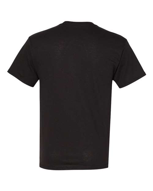 Hanes Ecosmart™ T-Shirt 5170 Black