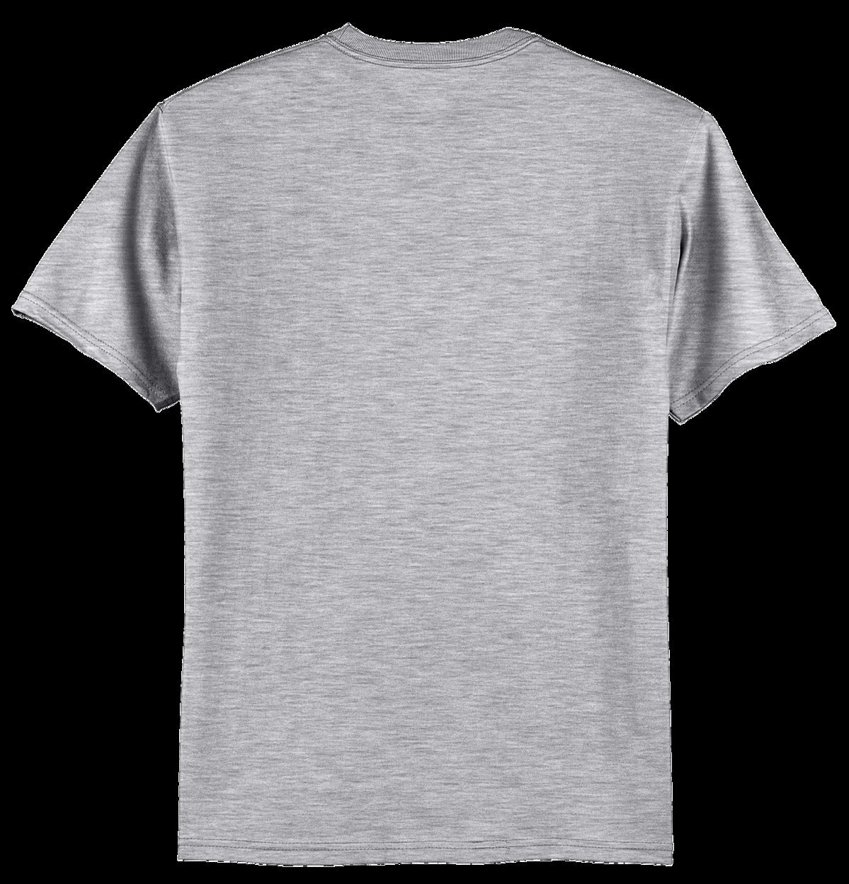 Hanes Authentic 100% Cotton T-Shirt. 5250 Light Steel
