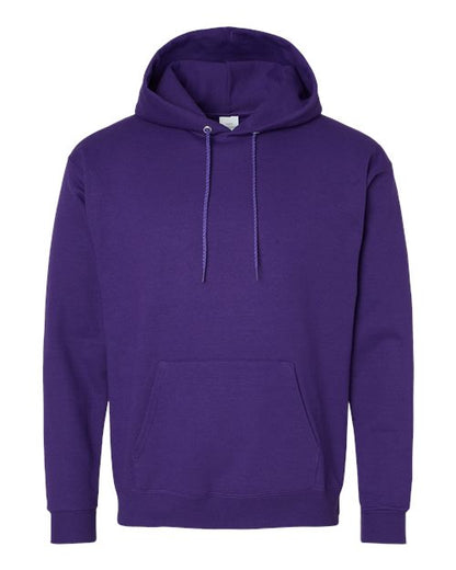 Hanes Ecosmart® Hooded Sweatshirt P170 Athletic Purple