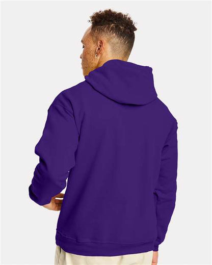 Hanes Ecosmart® Hooded Sweatshirt P170 Athletic Purple