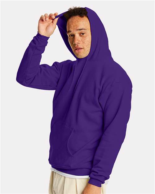 Hanes Ecosmart® Hooded Sweatshirt P170 Athletic Purple