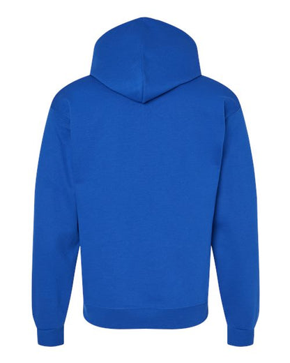 Hanes Ecosmart® Hooded Sweatshirt P170 Athletic Royal