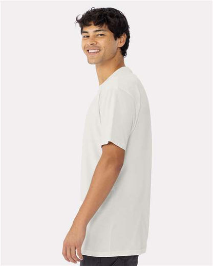 Next Level Cotton T-Shirt 3600 Bone
