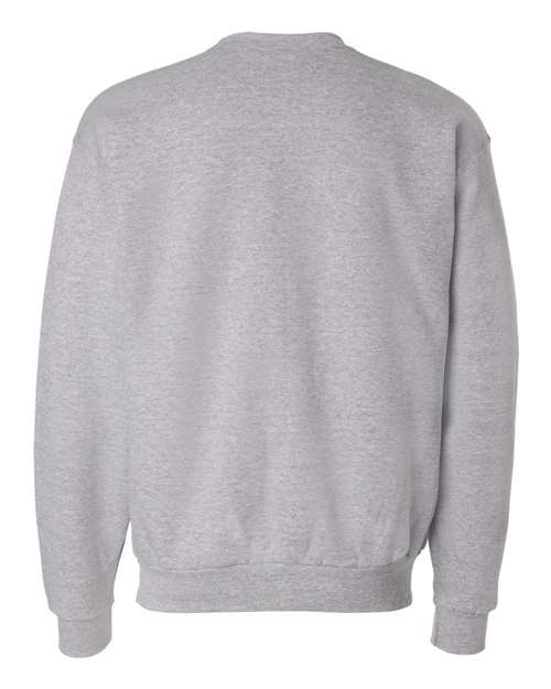 Hanes Ecosmart® Crewneck Sweatshirt P160 Light Steel