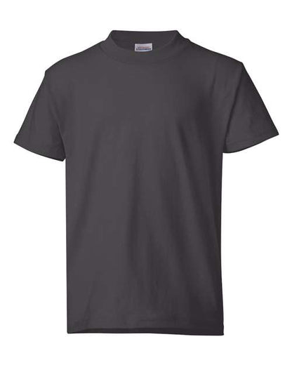 Hanes Ecosmart™ Youth T-Shirt 5370 Smoke Grey