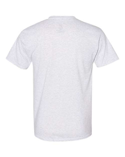 Hanes Ecosmart™ T-Shirt 5170 Ash
