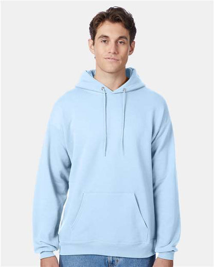 Hanes Unisex EcoSmart Hooded Sweatshirt 391