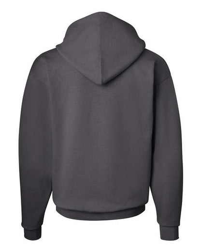 Hanes Ecosmart® Hooded Sweatshirt P170 Smoke Grey