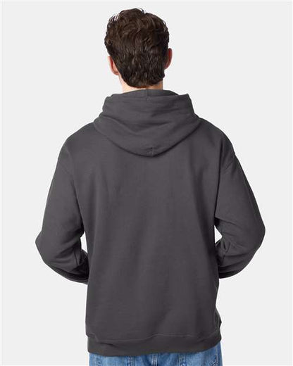 Hanes Ecosmart® Hooded Sweatshirt P170 Smoke Grey