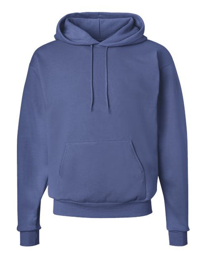 Hanes Ecosmart® Hooded Sweatshirt P170 Denim Blue