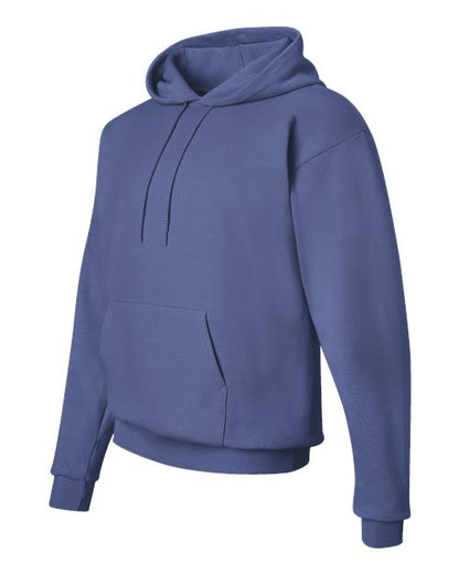 Hanes Ecosmart® Hooded Sweatshirt P170 Denim Blue