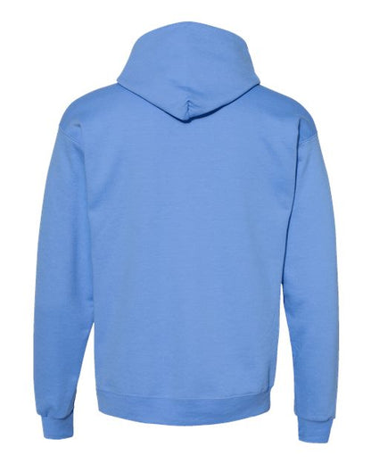 Hanes Ecosmart® Hooded Sweatshirt P170 Carolina Blue