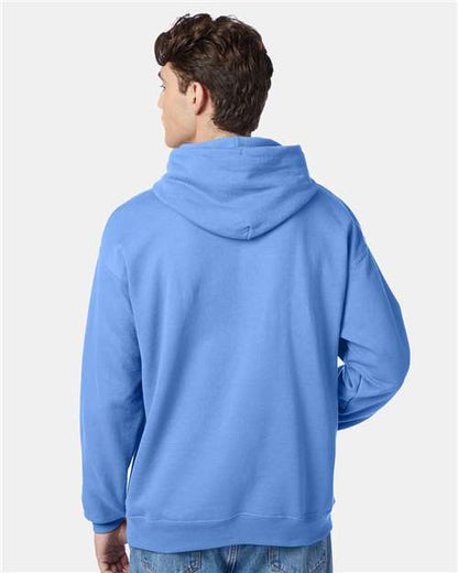 Hanes Ecosmart® Hooded Sweatshirt P170 Carolina Blue