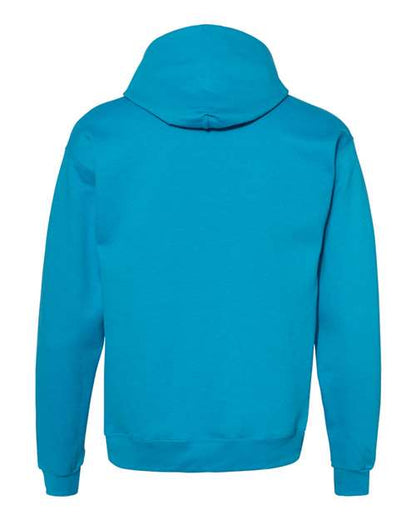 Hanes Ecosmart® Hooded Sweatshirt P170 Teal