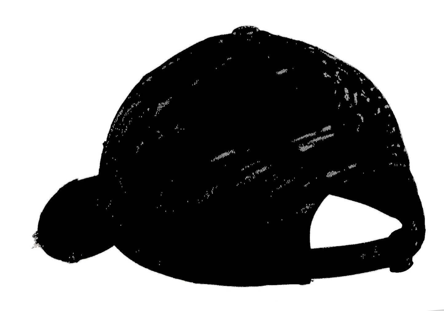 District Distressed Cap. DT600
