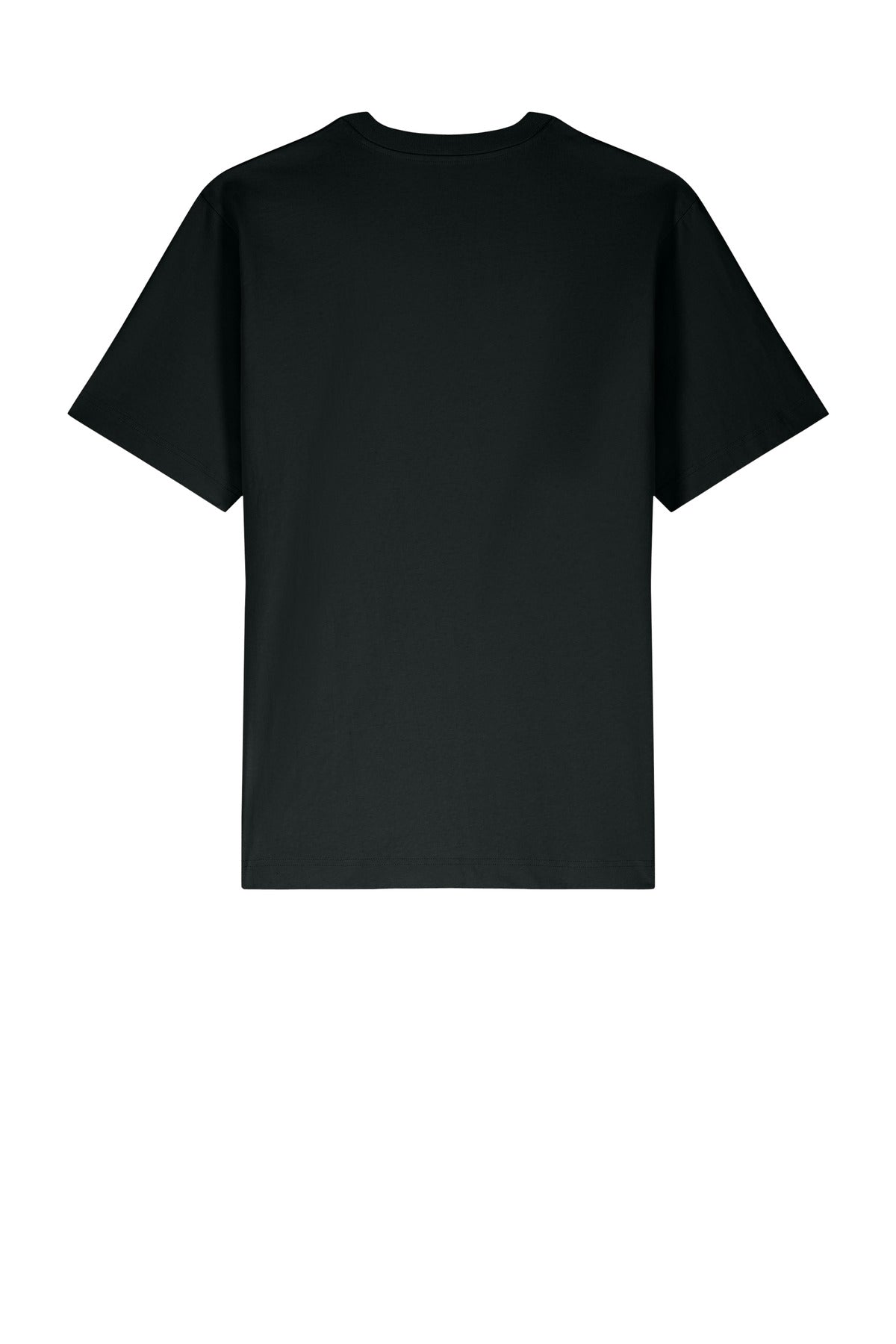 Stanley/Stella Unisex Freestyler Heavyweight Tee SXU018