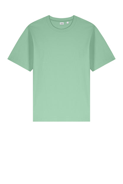 Stanley/Stella Unisex Freestyler Heavyweight Tee SXU018
