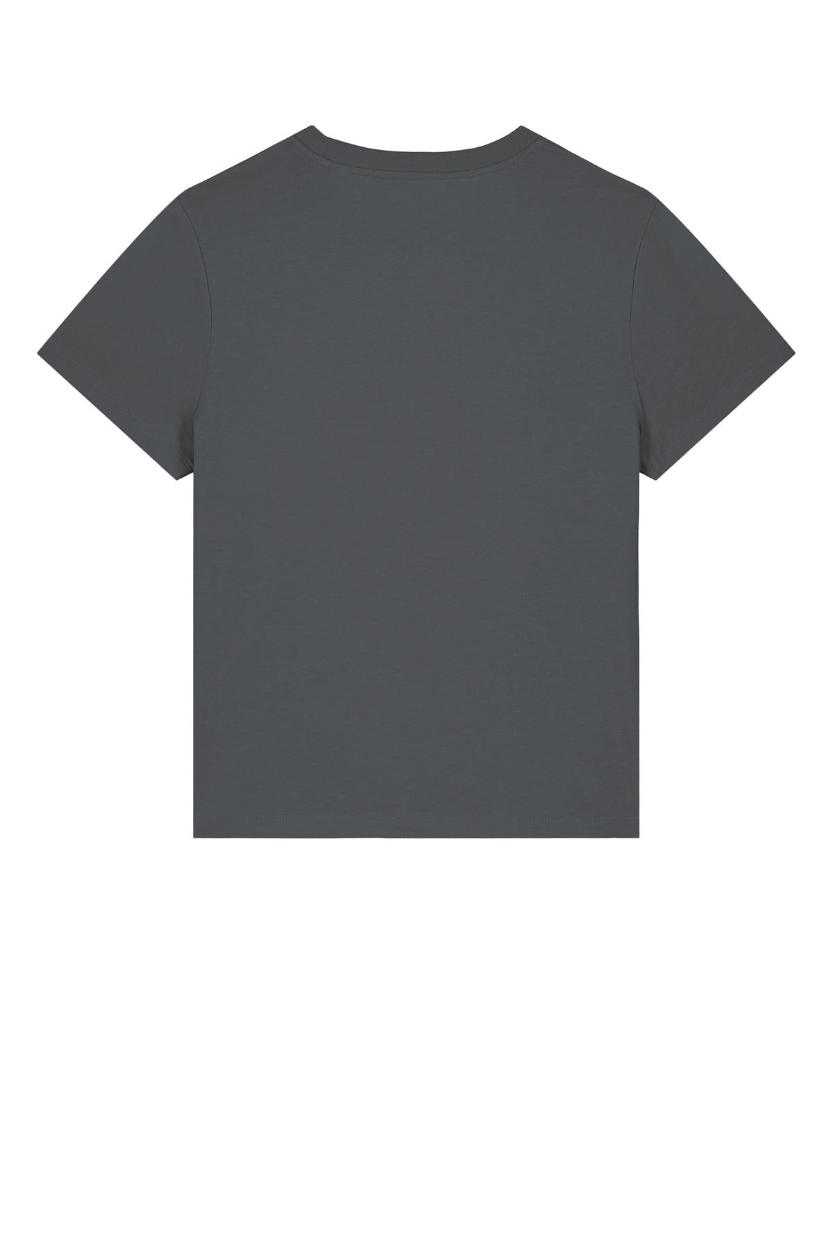Custom Embroidered Stanley/Stella T-Shirts  in Anthracite