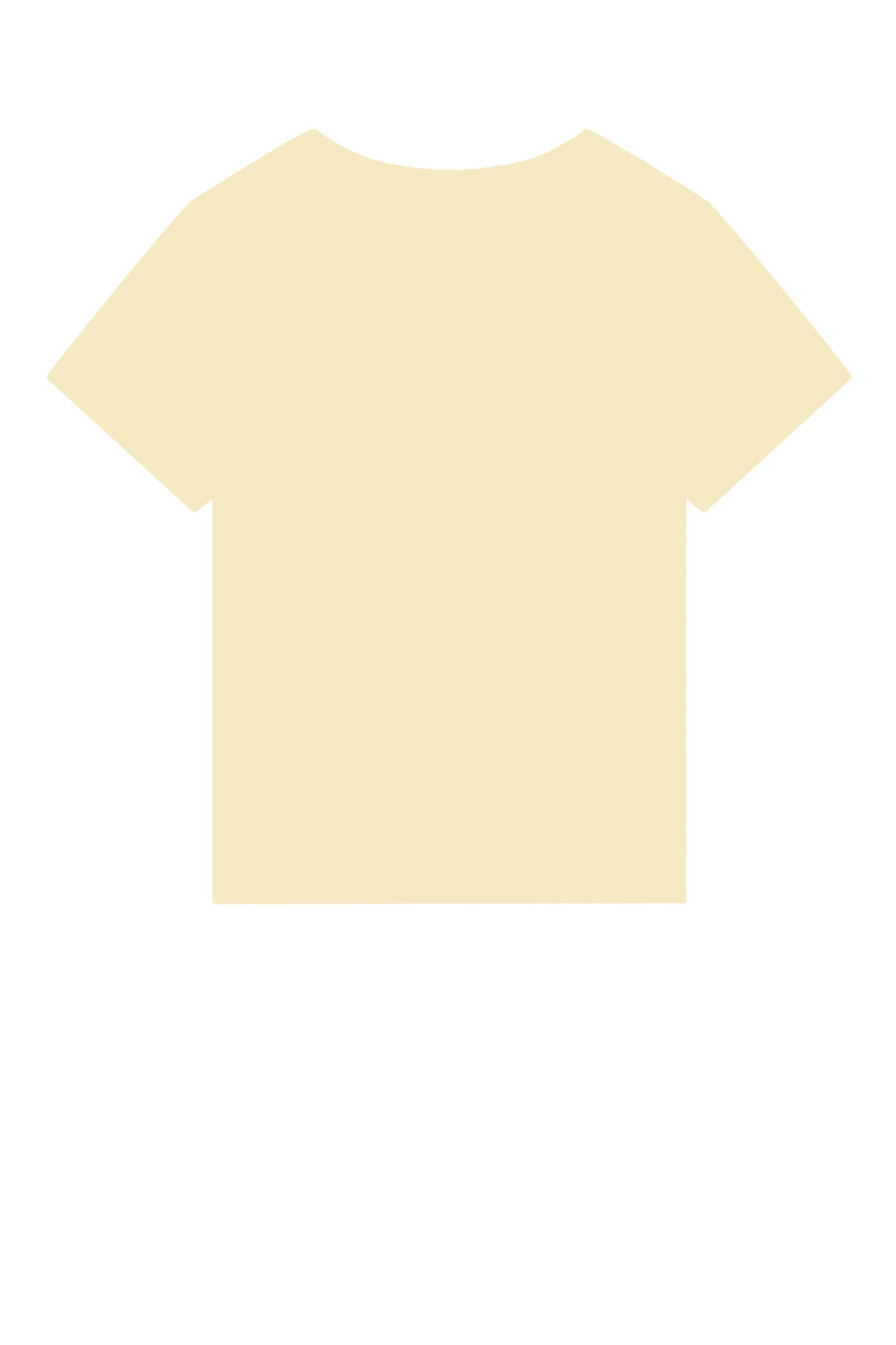 Stanley/Stella Women's Stella Isla V-Neck Tee SXW032