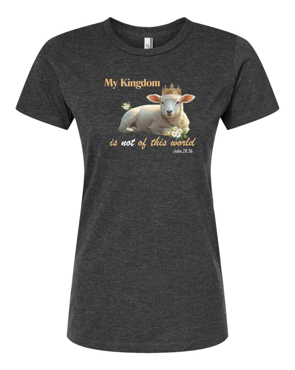 My Kingdom is not of this World